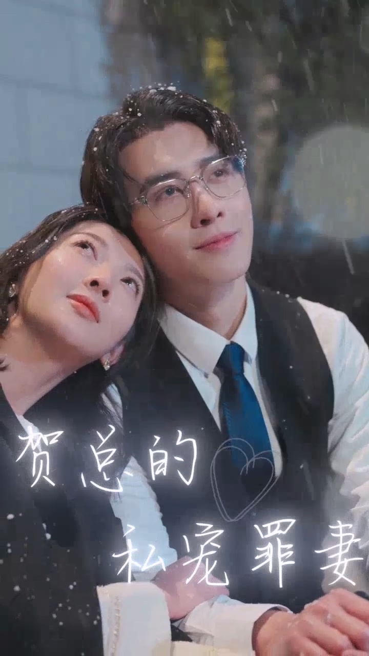 贺总的私宠罪妻全集