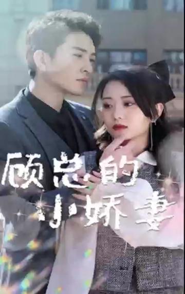 顾总的小娇妻全集