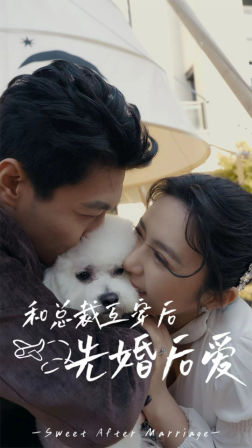 和总裁互穿后先婚后爱全集