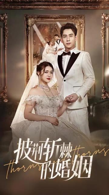 新版：披荆斩棘的婚姻全集