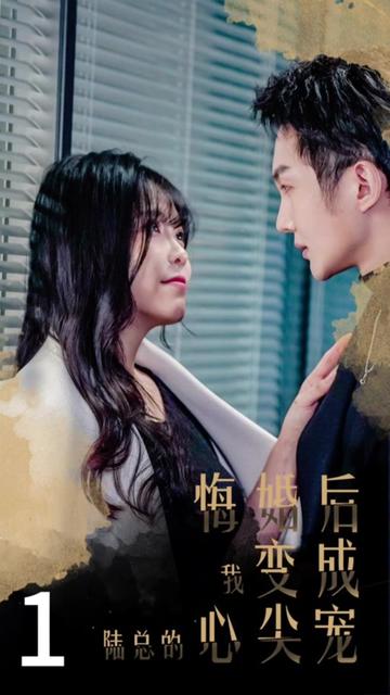 悔婚后，我变成陆总的心尖宠全集