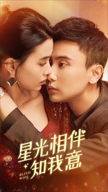 星光相伴知我意全集