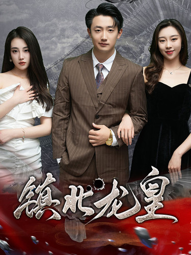 镇北龙皇$镇北龙帅全集