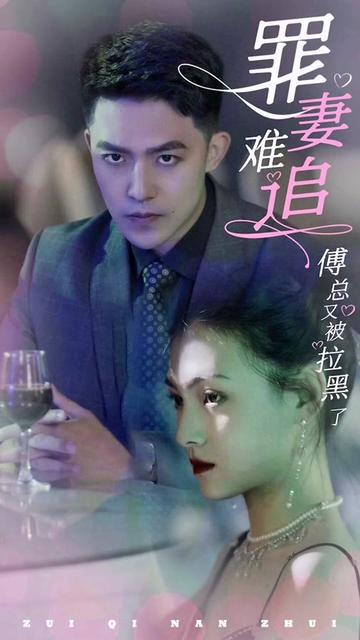 罪妻难追傅总又被拉黑了全集