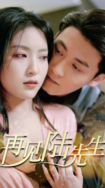 再见陆先生全集