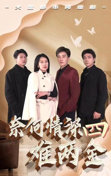 奈何情深难两全全集