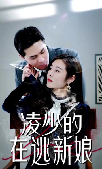 凌少的在逃新娘全集