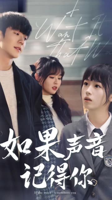 如果声音记得你全集