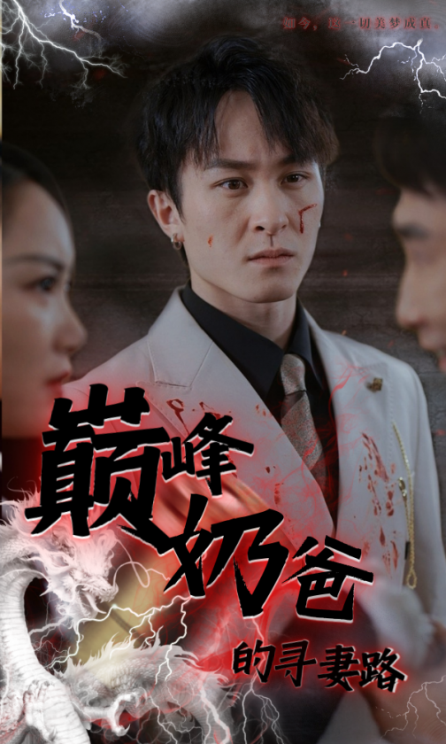 巅峰奶爸的寻妻路全集