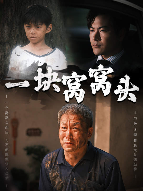 一块窝窝头&儿子患癌以后全集