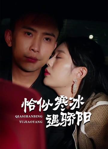 恰似寒冰遇骄阳全集