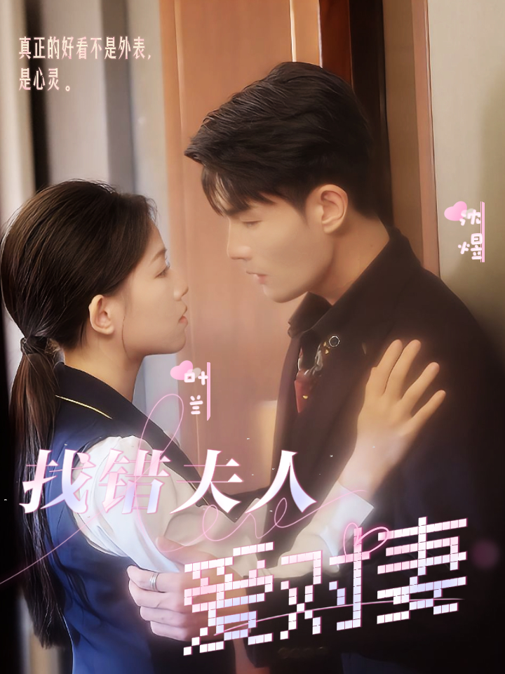 找错夫人爱对妻全集