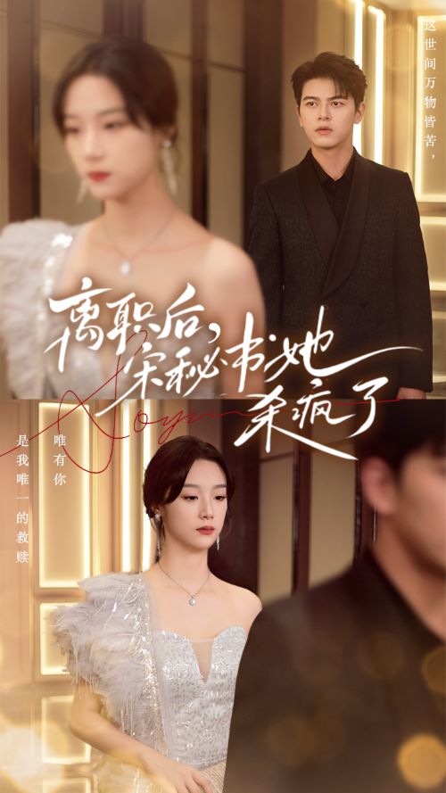 离职后，宋秘书她杀疯了全集