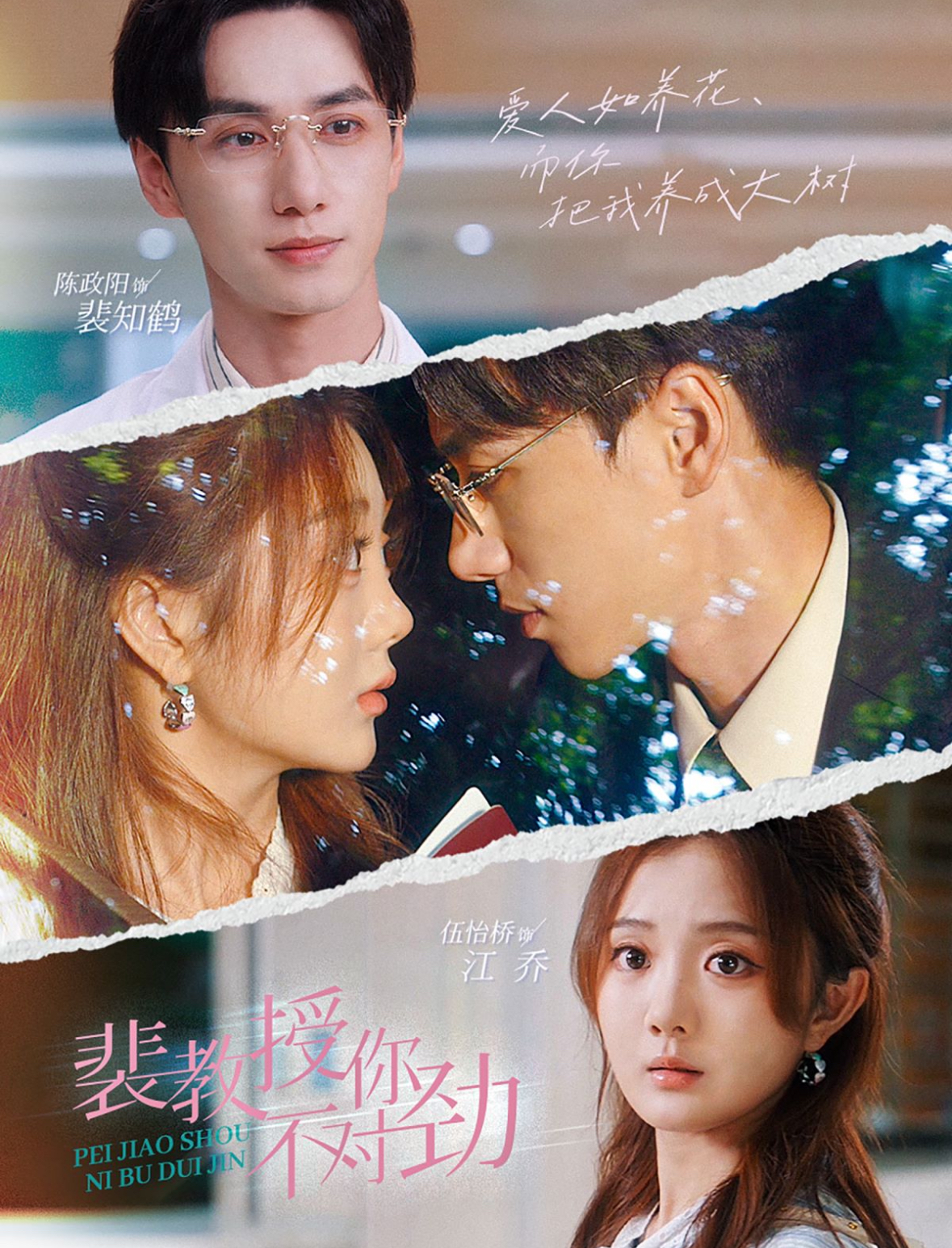 裴教授你不对劲全集