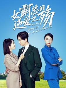 女霸总的逆爱之殇全集