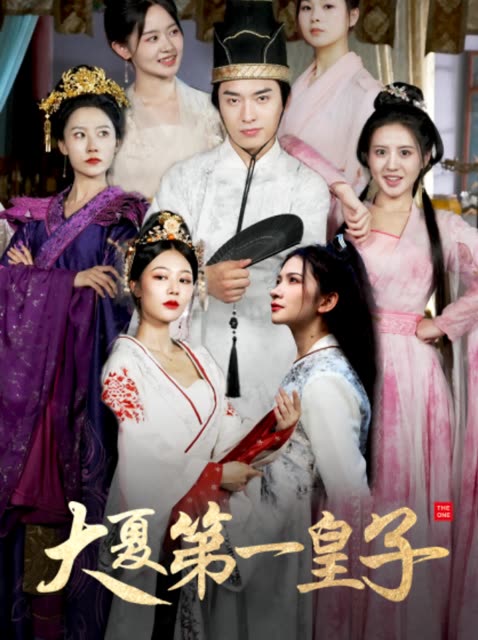大夏第一皇子全集