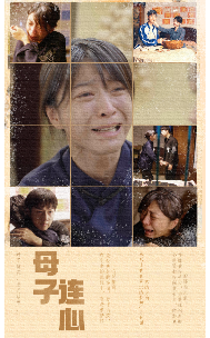 母子连心全集