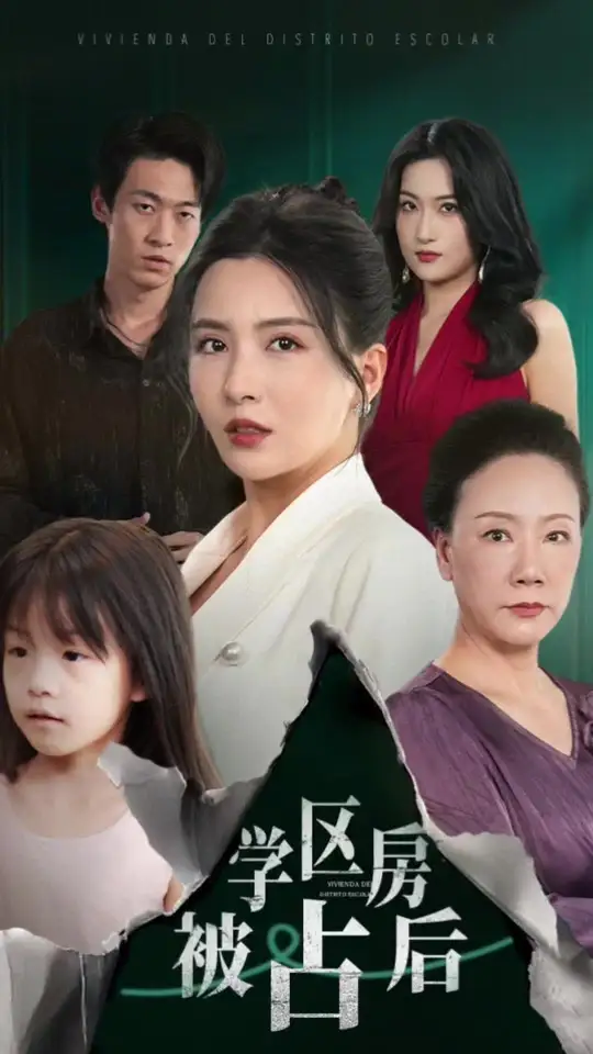 学区房被占后全集