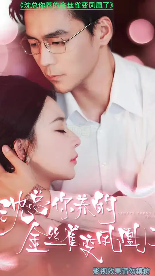 沈总你养的金丝雀变凤凰了全集