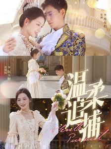 温柔追捕全集