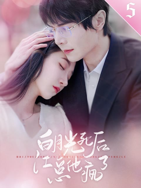 白月光死后，江总他疯了全集