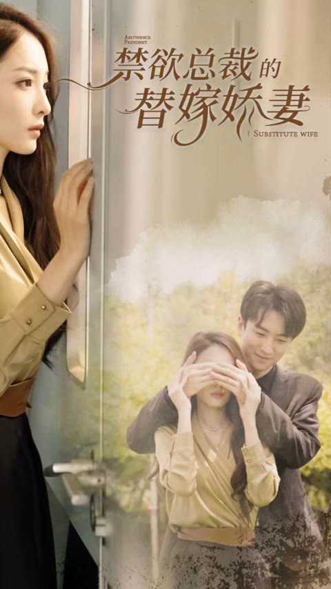 禁欲总裁的替嫁娇妻&闪婚试爱，暮总的天价影后全集