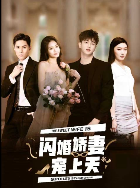 闪婚娇妻宠上天全集