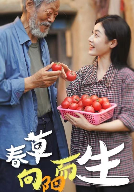 春草向阳而生全集