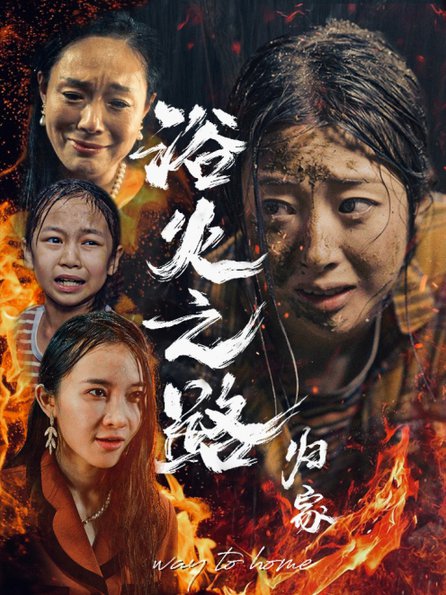 浴火之路归家全集