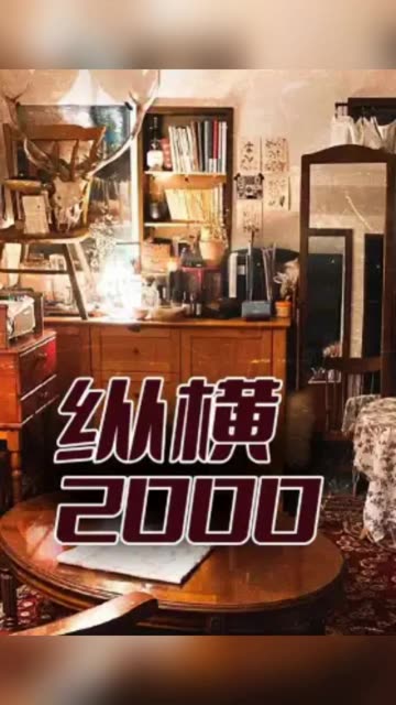 纵横2000全集