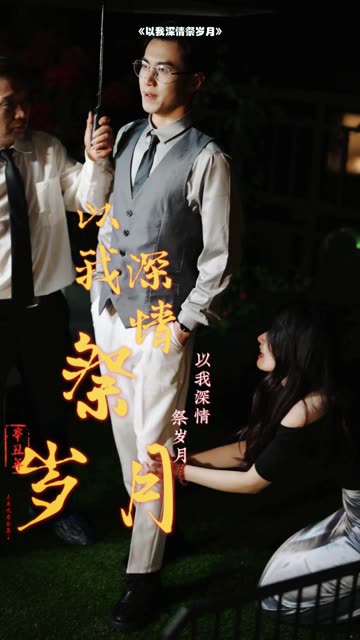 以我深情祭岁月全集