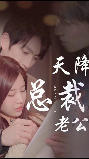 天降总裁老公全集