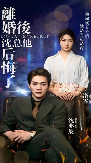 离婚后，沈总他后悔了全集