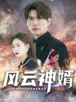 风云神婿全集