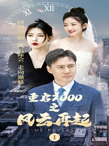 重启2000之风云再起全集