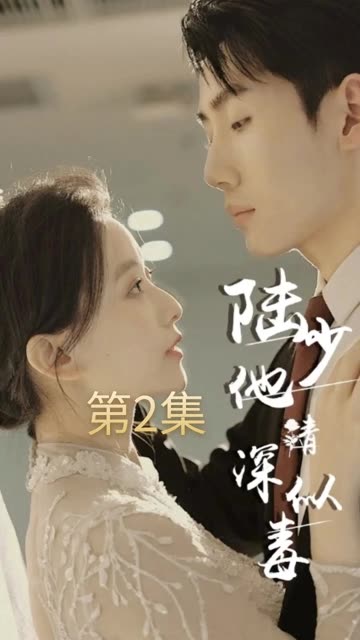 陆少他情深似毒全集