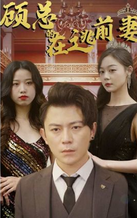 顾总的在逃前妻全集