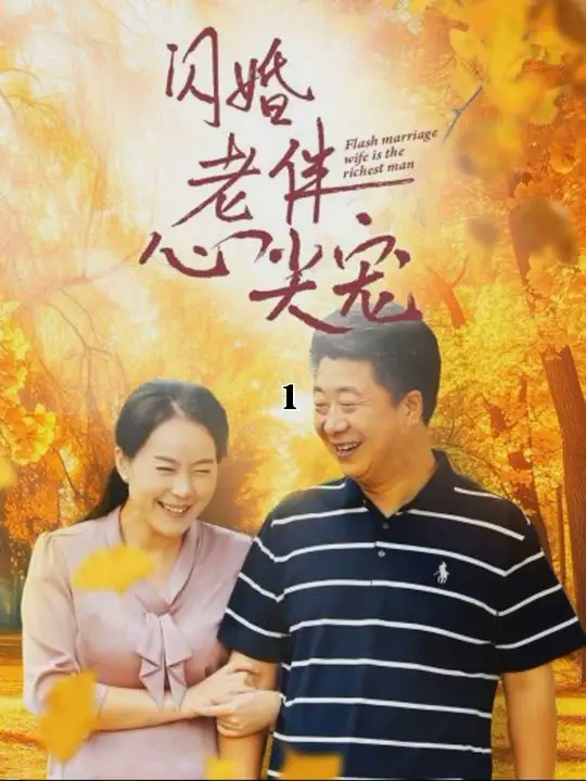 再回首闪婚之仍是心尖宠全集