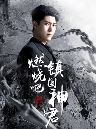 燃烧吧，镇国神君全集
