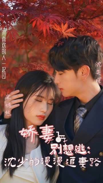 娇妻别想逃：沈少的漫漫追妻路全集