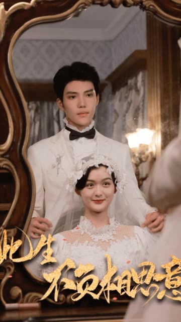 此生不负相思意全集