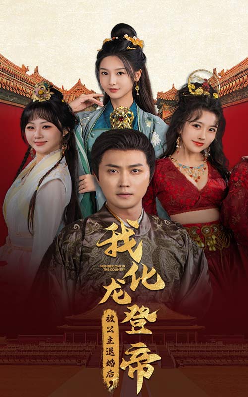 被公主退婚后，我化龙帝全集