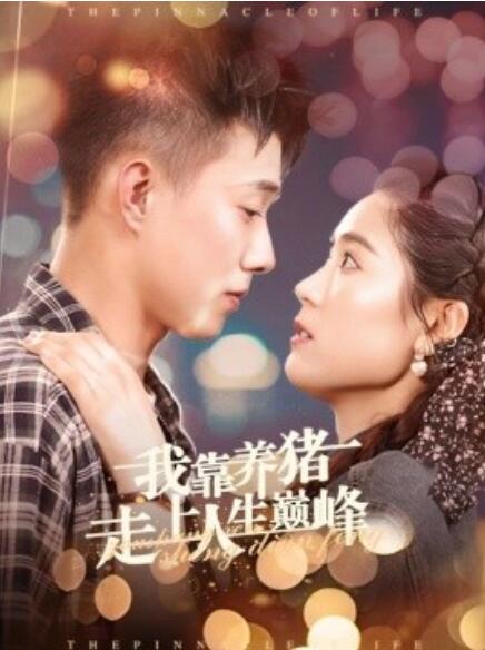 我靠养猪走上人生巅峰全集