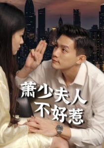 萧少夫人不好惹全集