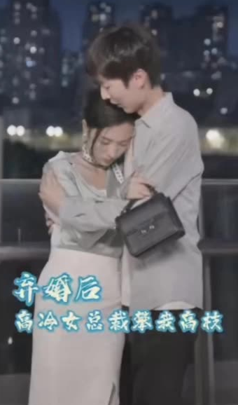 弃婚后，高冷女总裁攀我高枝全集