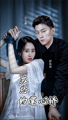 苏总的掌心骄全集