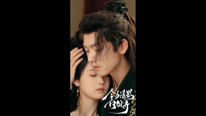 今夕清影何处寻全集