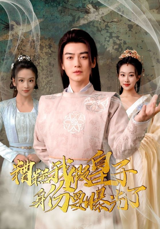 糟糕我假皇子的身份要曝光了全集