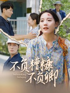 不负糟糠不负卿全集