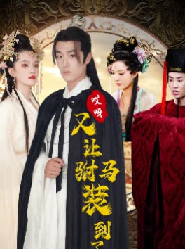 哎呀又被驸马装到了全集